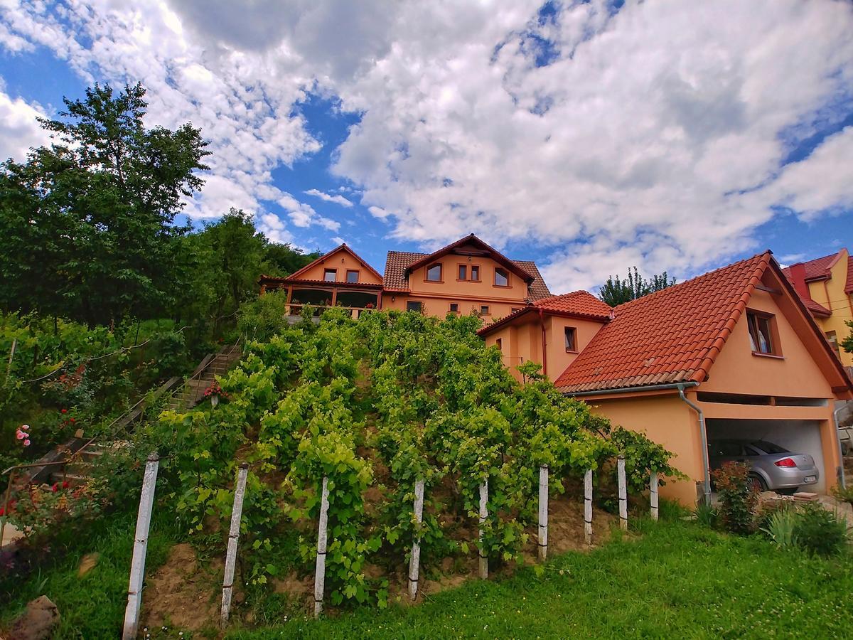 Pensiune Casa Adam 3*